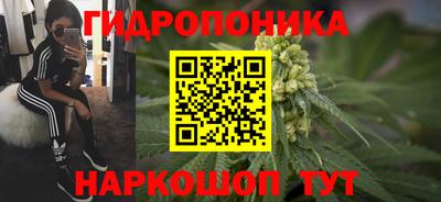 мяу мяу мука Будённовск