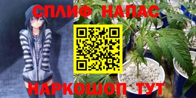 мяу мяу мука Будённовск