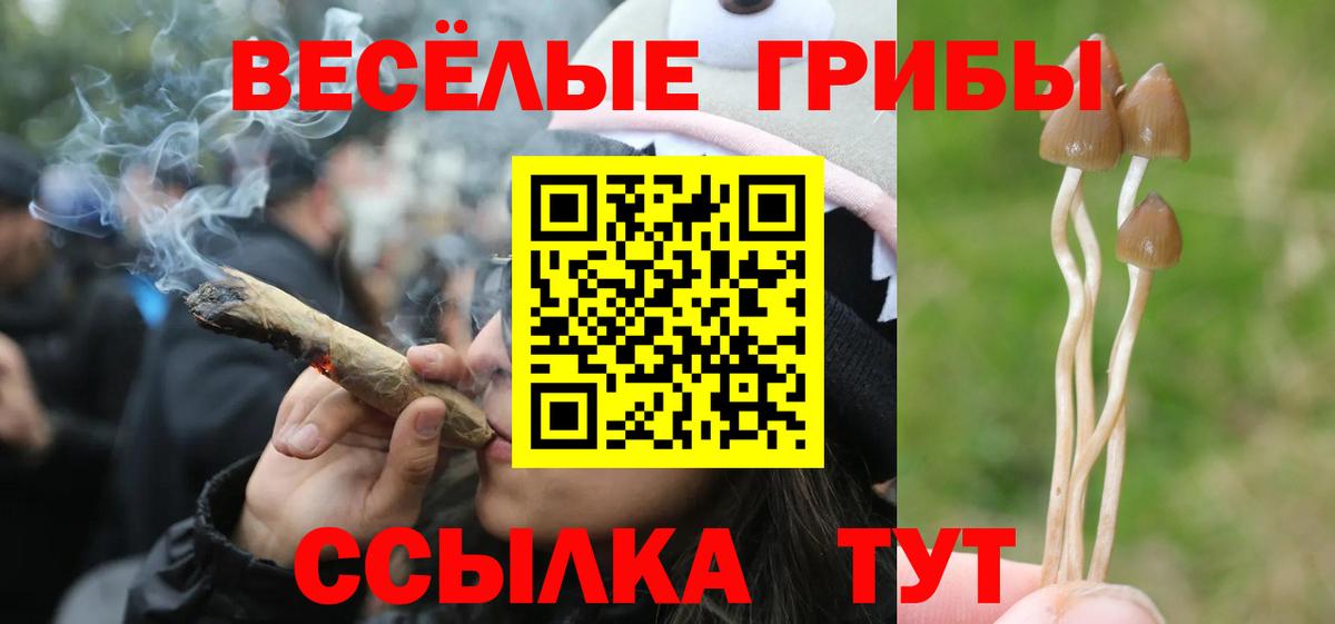 Псилоцибиновые грибы мухоморы  Люберцы 