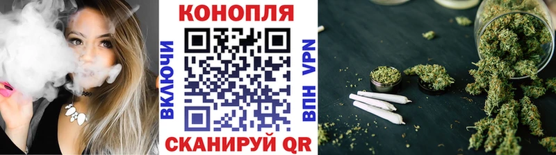 Шишки марихуана сатива  где купить   Люберцы 